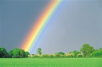 Blended Family Rainbow