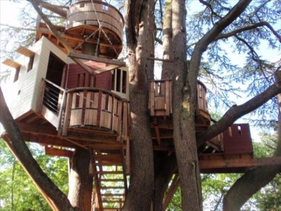 Tree house