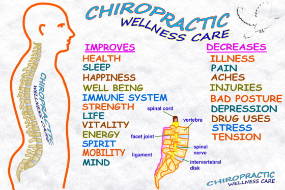 chiropractic wellness care therapy related words