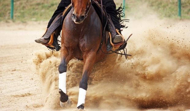 man on galloping horse