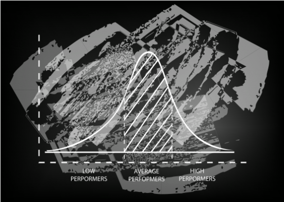 how an organization's performers fall on the Bell curve