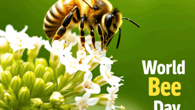 World Bee Day - a bee on flowers