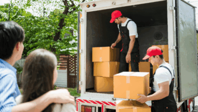 Tips for working successfully With removalists- moving officials loading boxes into a van