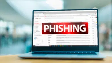 holiday stress in blended families - Phishing